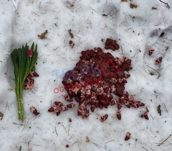 Жители Твери гадают, кто оставил в роще цветы и сердца