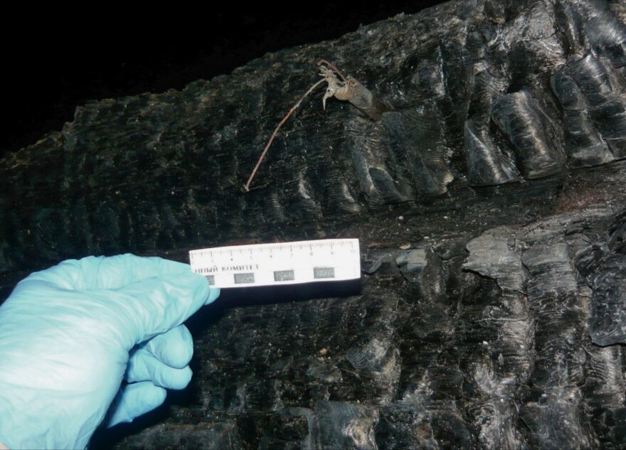 В Тверской области на пожаре погиб пожилой мужчина