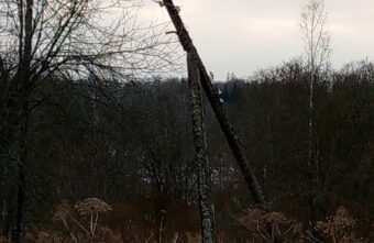 Жители Тверской области уже год жалуются на опасную опору ЛЭП Жители Тверской области уже год жалуются на опасную опору ЛЭП