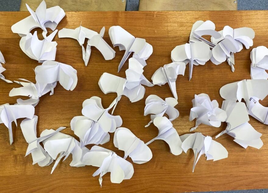 Жители Тверской области участвуют в акциях памяти жертв теракта в «Крокус Сити Холле»