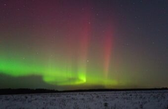 Жители Тверской области делятся яркими фотографиями северного сияния