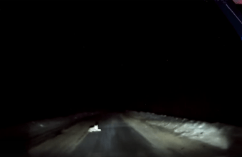 В Тверской области рысь не дала автомобилю проехать