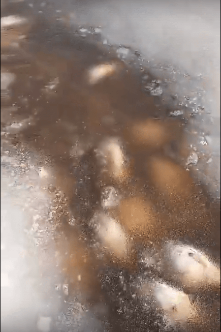 В Тверской области в реке массово погибла рыба