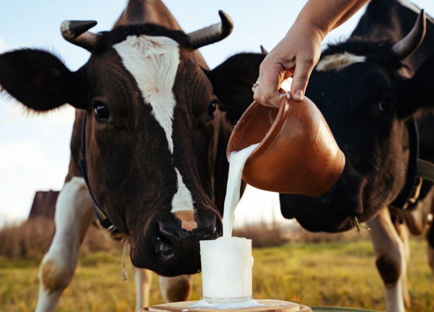 Жителей Тверской области предупреждают о подорожании молока и молочной продукции