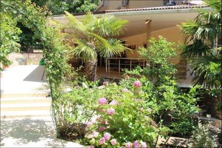 На Черноморские курорты с Ozon Тревел На Черноморские курорты с Ozon Тревел