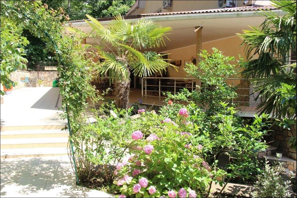 На Черноморские курорты с Ozon Тревел