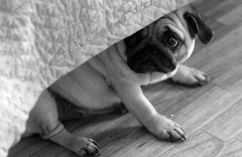 Врач опроверг необходимость восьмичасового сна для здоровья Врач опроверг необходимость восьмичасового сна для здоровья