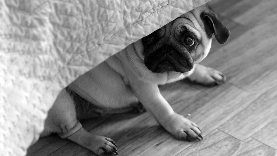 Врач опроверг необходимость восьмичасового сна для здоровья