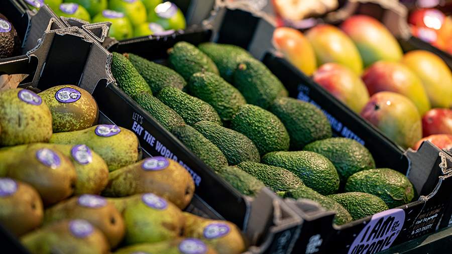 Ученые назвали самый важный продукт для правильного питания