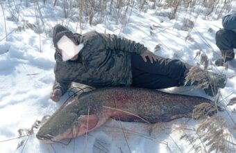В Тверской области рыбак поймал в Волге сома-великана
