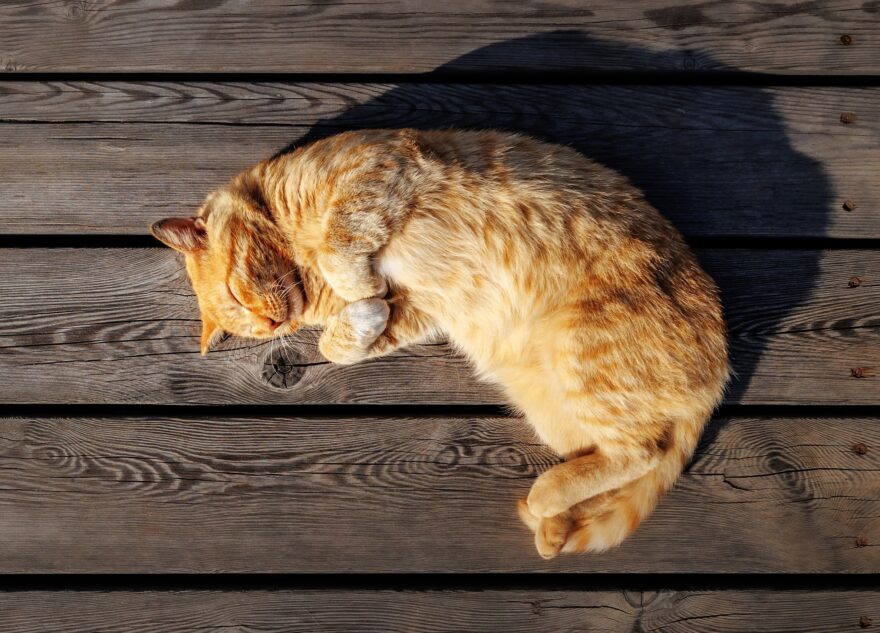 Синоптики рассказали, когда в Тверскую область вернется тепло