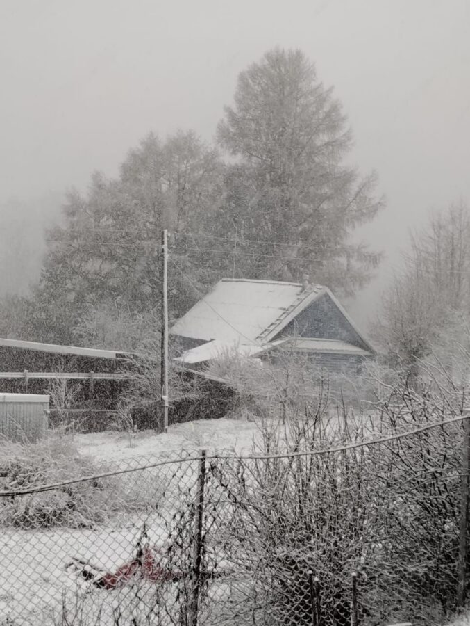 Тверскую область засыпает снегом