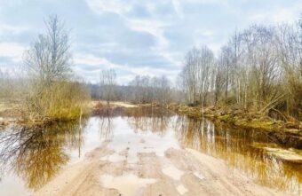 Район в Тверской области поделился успешным опытом борьбы с паводком