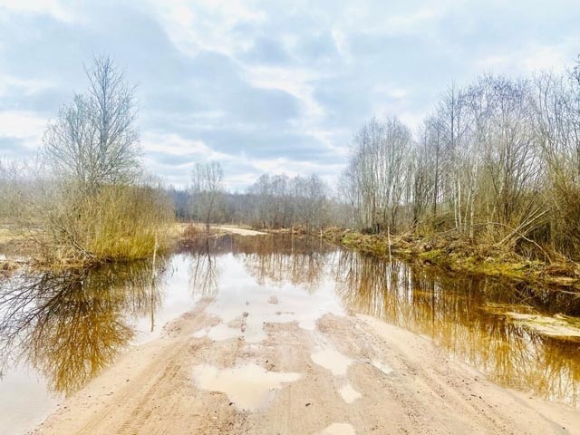 Район в Тверской области поделился успешным опытом борьбы с паводком