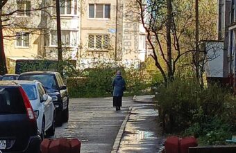 В Твери на мужчину упало дерево В Твери на мужчину упало дерево