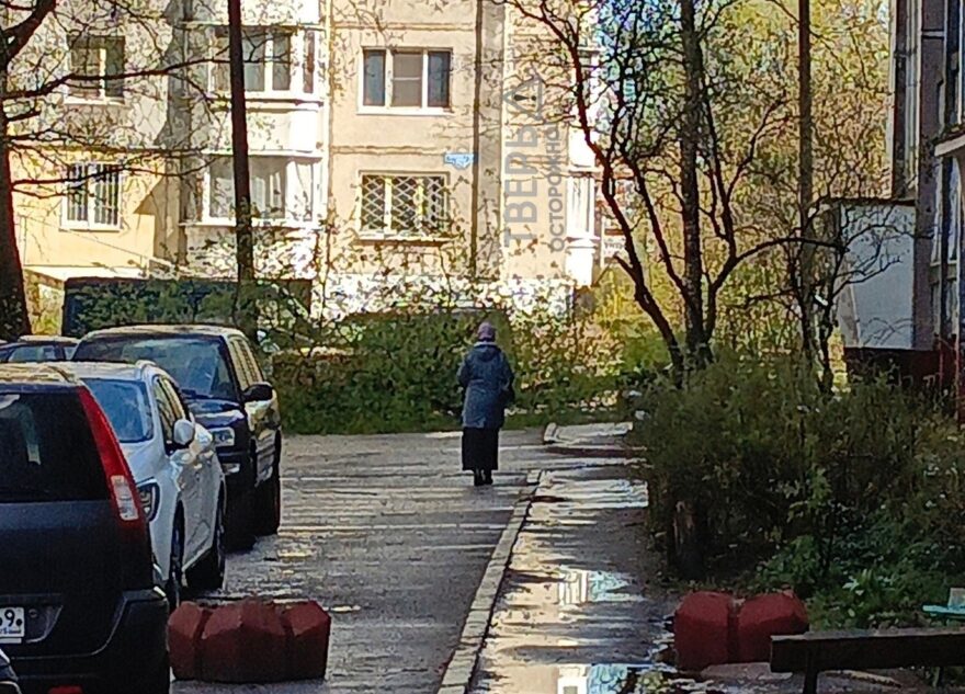 В Твери на мужчину упало дерево