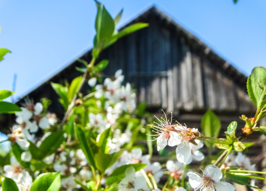 Росгосстрах и ВТБ: большинство россиян тратят на ремонт дачи до 500 тысяч рублей