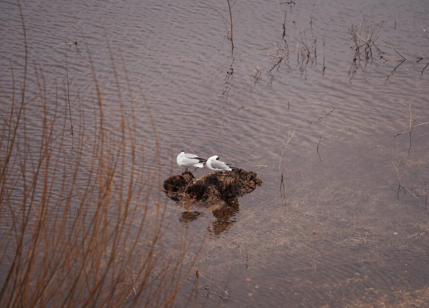 В Тверской области в круглосуточном режиме ведётся мониторинг паводковой обстановки