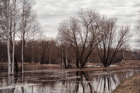 В Тверской области 86 приусадебных участков находятся в зоне подтопления