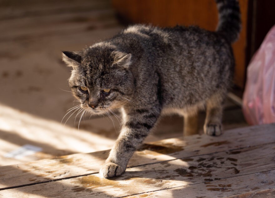 Аномальное потепление в Тверской области продлится недолго