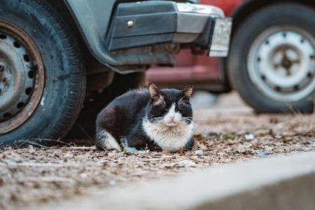 Эксперт рассказал, какие машины с механикой лучше не покупать