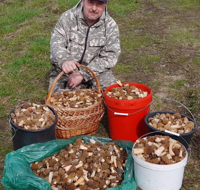 Житель Тверской области набрал за одну прогулку в лесу шесть ведер грибов