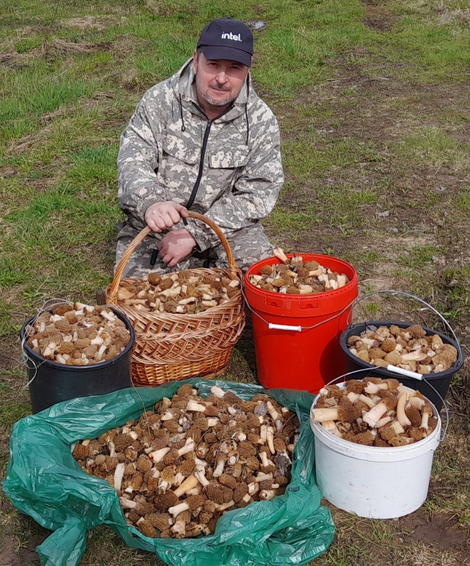 Житель Тверской области набрал за одну прогулку в лесу шесть ведер грибов
