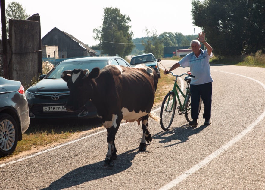 В России ввели огромные штрафы за неправильное обращение с навозом