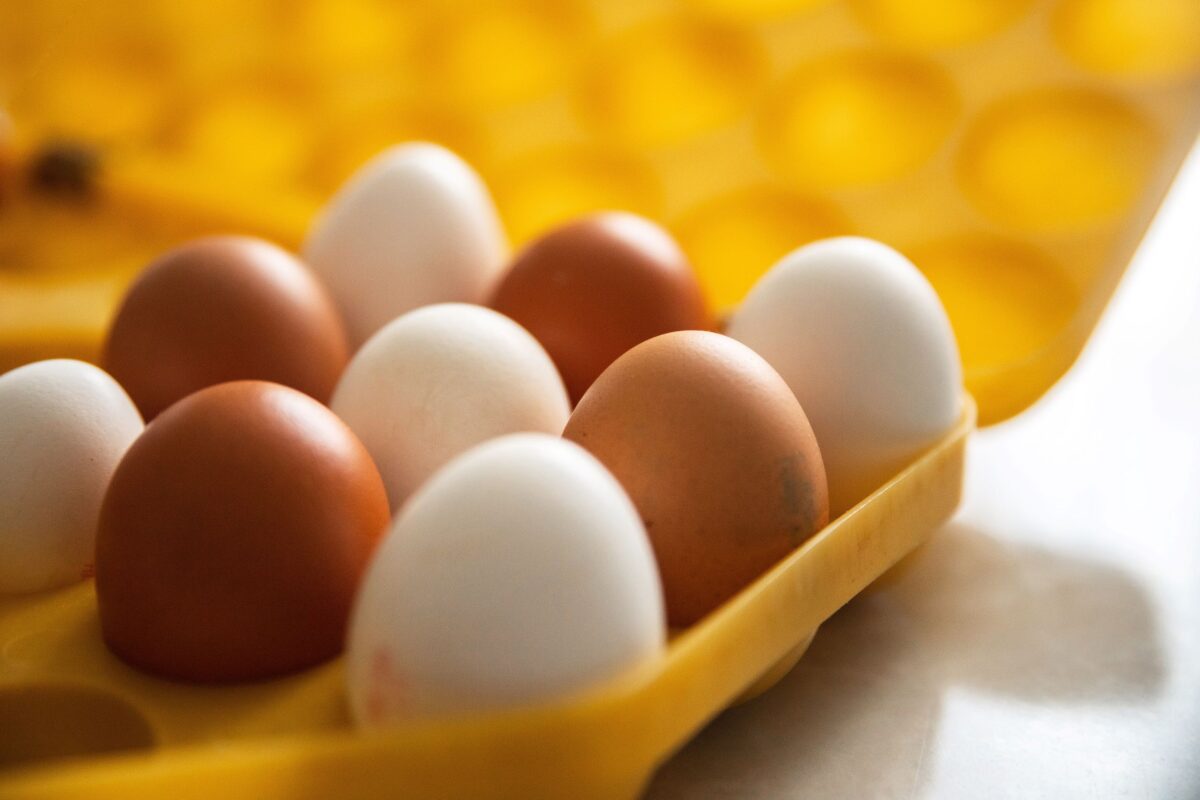 Стало известно, сколько заработали производители яиц на росте цен