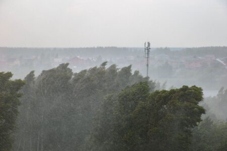 В Тверской области ожидается девятибалльный шторм «Гори» В Тверской области ожидается девятибалльный шторм «Гори»
