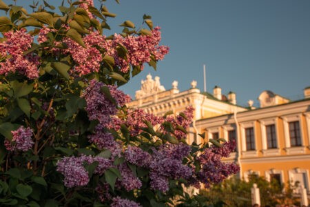 Синоптики рассказали, каким будет май в Тверской области