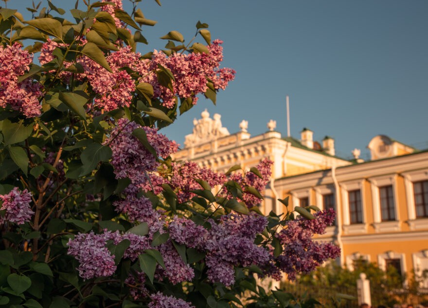 Синоптики рассказали, каким будет май в Тверской области