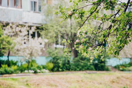 В Тверскую область возвращается апрельское лето В Тверскую область возвращается апрельское лето