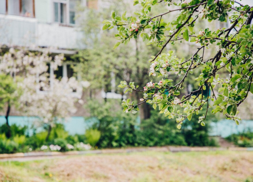 В Тверскую область возвращается апрельское лето