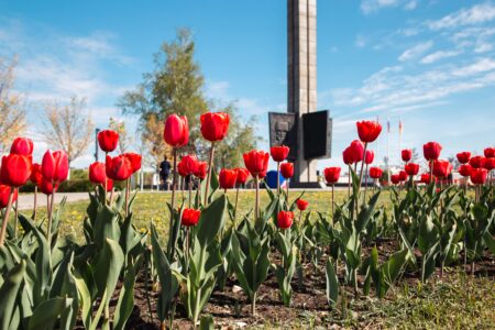 В Тверской области в два раза увеличили размер выплаты ко Дню Победы для участников и инвалидов Великой Отечественной войны В Тверской области в два раза увеличили размер выплаты ко Дню Победы для участников и инвалидов Великой Отечественной войны
