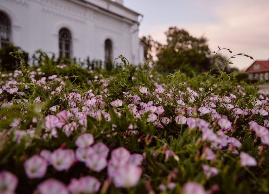 Синоптики пообещали жителям Тверской области тёплую погоду к выходным