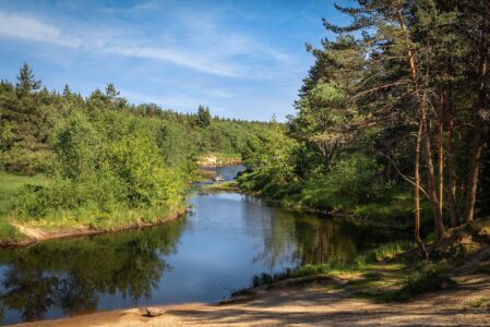 В Тверскую область неожиданно приходит лето В Тверскую область неожиданно приходит лето