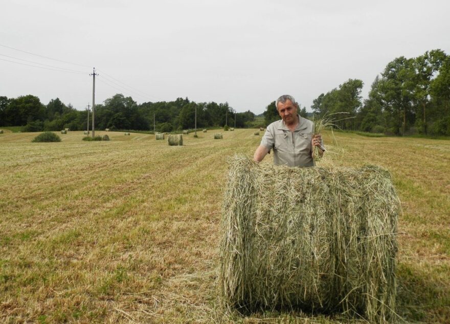 Павел Образцов: «Это самый достойный путь для нашей молодежи»