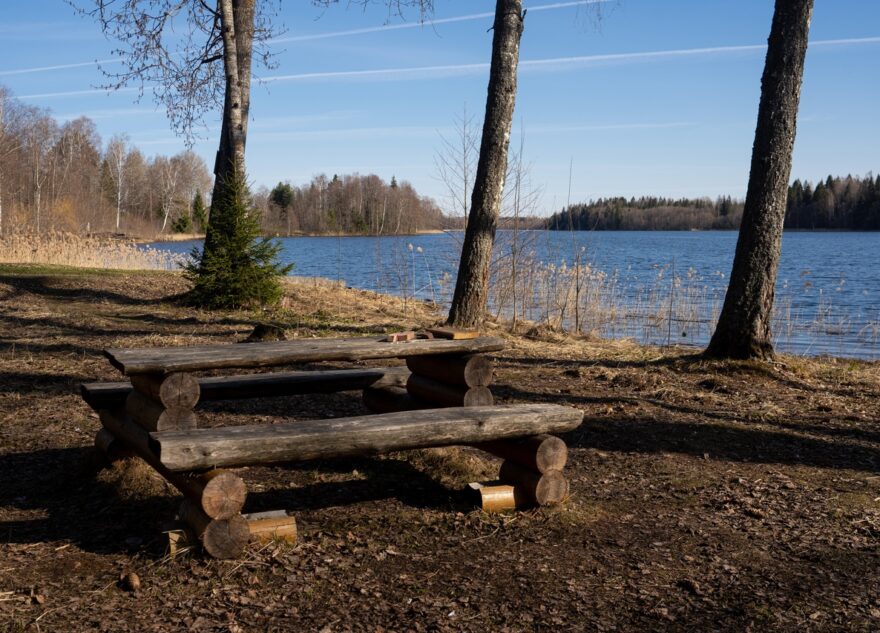 Синоптики уточнили прогноз на майские выходные в Тверской области