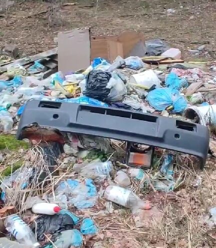 Жители Твери пожаловались на свалку в лесу