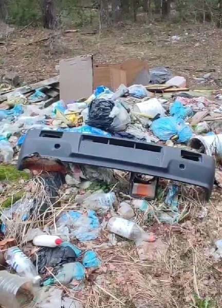 Жители Твери пожаловались на свалку в лесу