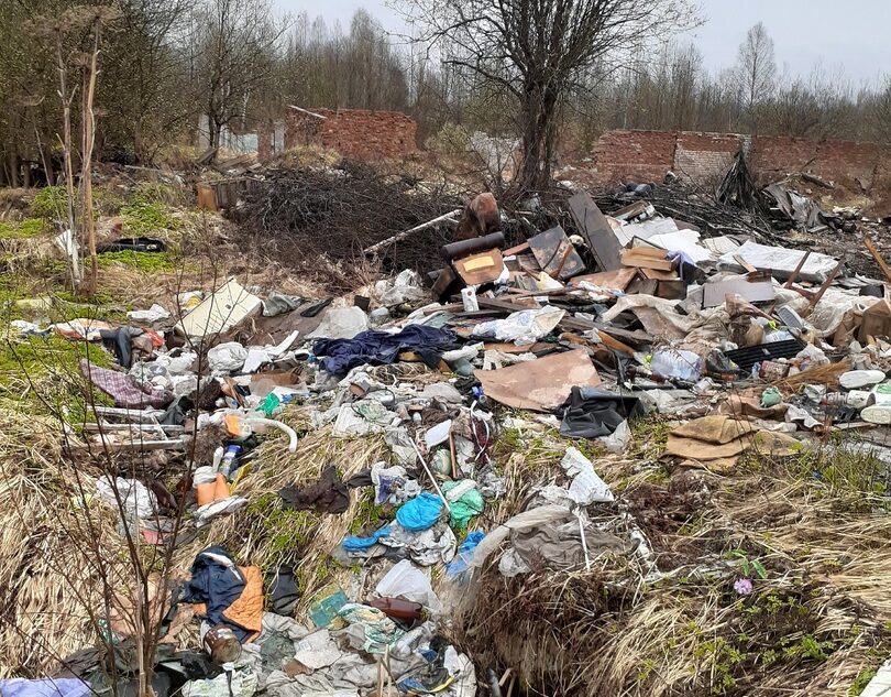 Жительница Тверской области шокирована масштабами «народной» свалки