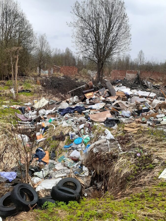 Жительница Тверской области шокирована масштабами «народной» свалки