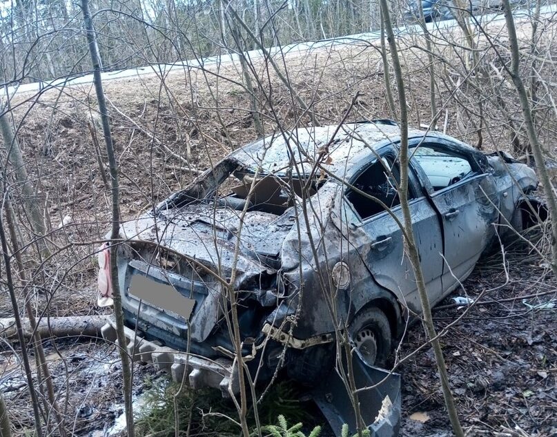 Женщина и девочка пострадали в ДТП в Тверской области