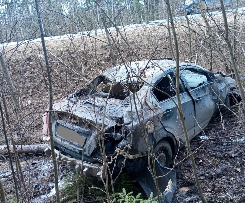 Женщина и девочка пострадали в ДТП в Тверской области