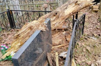 Посетители кладбища в Тверской области пожаловались на сухие деревья и воров надгробий Посетители кладбища в Тверской области пожаловались на сухие деревья и воров надгробий