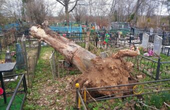 На кладбище в Тверской области ветер вырвал дерево с корнем На кладбище в Тверской области ветер вырвал дерево с корнем