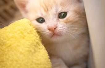 Столбики термометров в Тверской области вернутся в минус