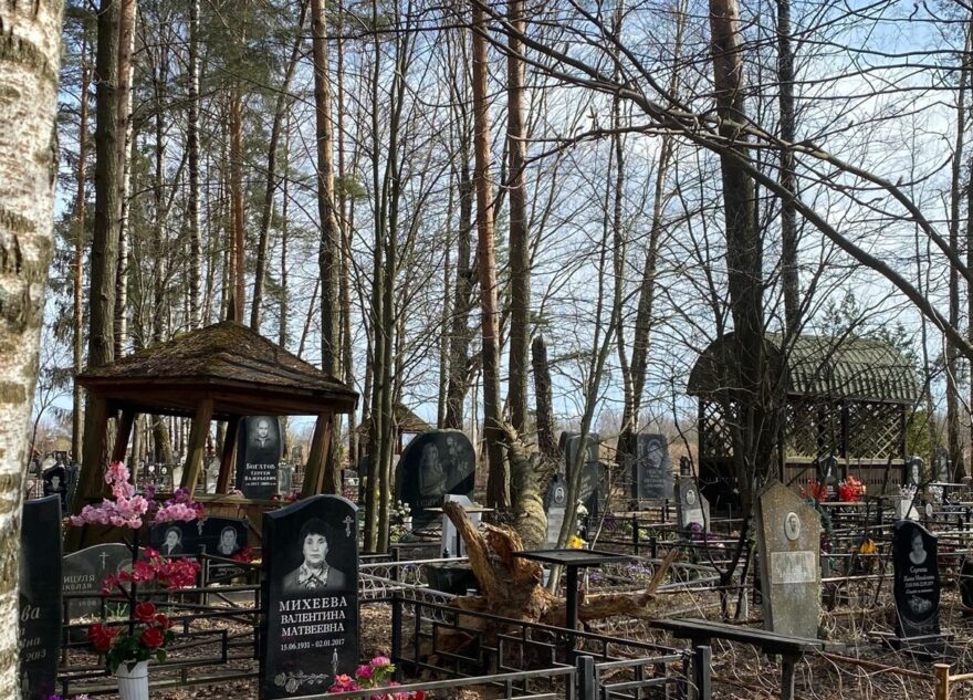 Упавшее на кладбище в Тверской области дерево повредило памятники