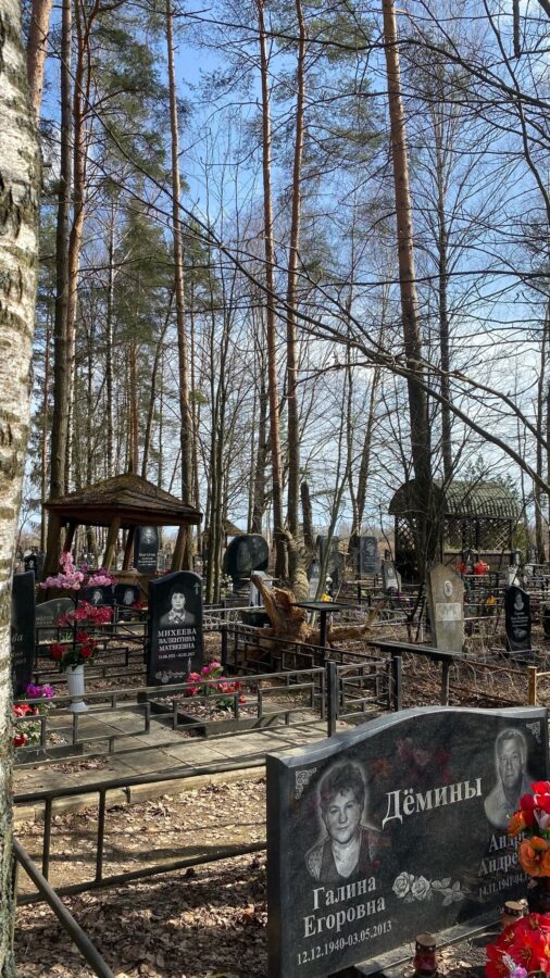 Упавшее на кладбище в Тверской области дерево повредило памятники